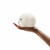 Mr. Maria Night Light Bundle of Light Elephant BL01EL