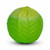 Oli&Carol Bola Sensorial Couve Verde +0M L-BALL-GREEN-CABBAGE