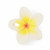 Oli&Carol Chewy-to-Go Teether Hawaii the Flower L-CHEWY-FLOWER