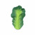Oli&Carol Teether Kale Kendall L-KALE