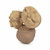 Oli&Carol Mordedor Noz Nutty L-WALNUT-UNIT
