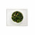 ezpz Mini Bowl Creme EUMBC001