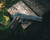 Lifestyle | 1911A1 US Army | on weathered wood