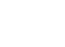 Chattanooga Shooting Supplies, Inc