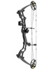 Compound Bow