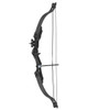 Compound Bow