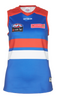 2018 AFLW Adult Home Guernsey