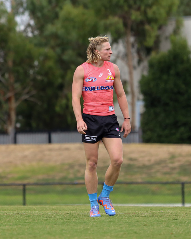 Western Bulldogs Asics 2023 Adult Training Guernsey - Papaya
