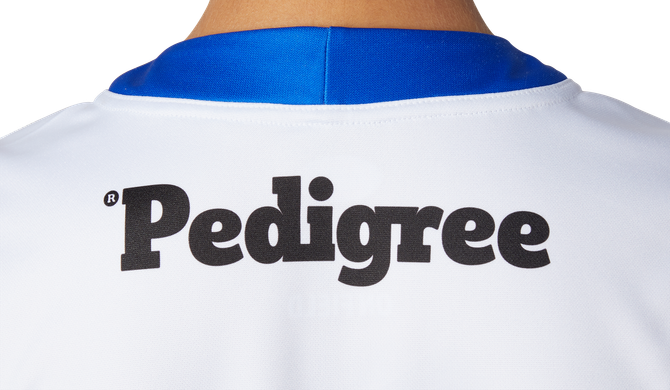 Western Bulldogs Asics 2023 Clash Guernsey - Youth