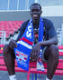 Western Bulldogs 100yr Wool Scarf