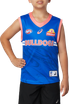 Western Bulldogs Asics 2023 Youth Training Guernsey - Blue