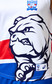 Western Bulldogs Asics 2025 Clash Guernsey - Adult