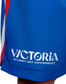 Western Bulldogs Asics 2026 Gym Short