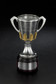 Western Bulldogs 2016 AFL Premiership Cup Replica