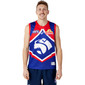 Western Bulldogs 2023 Asics Retro Guernsey - Adults