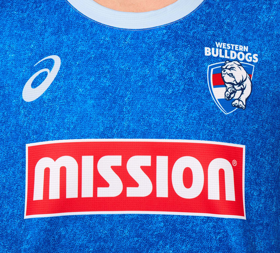 Western Bulldogs Asics 2026 Training Tee