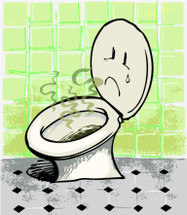 No Stink, All Swank: How to Keep Your RV Toilet Smelling Fresh