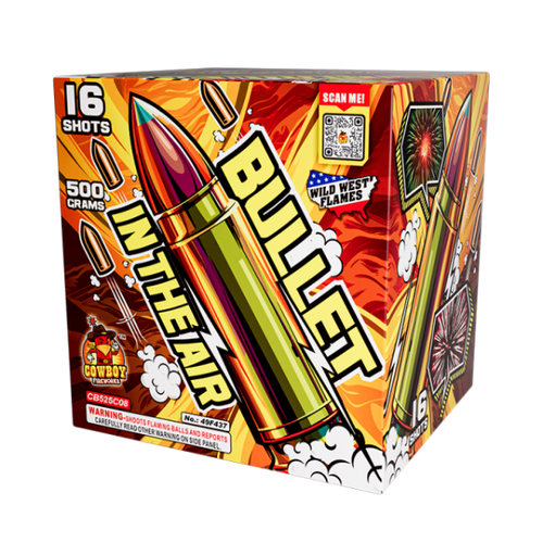 Bullet in the Air (Case)