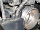 TURafe46-31008_3