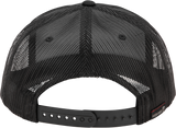 WP489-2007_2.png