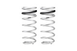Eibach 2025 Toyota 4Runner Hybrid Pro Lift Kit HD Rear Springs