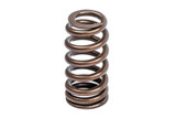 APR 12-16 Porsche Panamera Valve Spring - Single