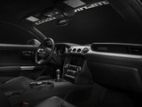 Raxiom 15-23 Ford Mustang Axial Series Stage 1 Map Light LED Conversion Kit