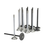 Skunk2 Honda K20C1 Alpha Series Intake & Exhaust Valve Set (Standard Compression)