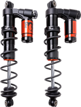 WP530-1253_3.png