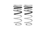 Eibach 24-25 Toyota Tacoma Rear Pro-Lift Spring Kit