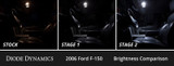 Diode Dynamics 04-08 d F-150 Interior LED Kit Cool White Stage 2