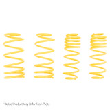 ST Muscle Car Springs Chevrolet Malibu Monte Carlo / Buick Skylark Regal / Oldsmobile Lemans Apollo
