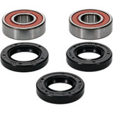 Pivot Works Premium Wheel Bearing