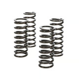 Wiseco 07-20 Honda CRF150R Clutch Spring Kit