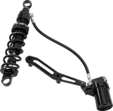 WP890-01178_2.png