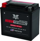 Twin Power YTX14 High Performance Battery Replaces H-D 65948-00 Made in USA 200 CCA