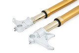 Ohlins 17-23 BMW R nineT FGRT 200 Fork