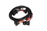 FAST Injector Harness Ev1 4.65.0