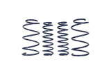Ford Racing 2013 Cobra Jet Spring Kit