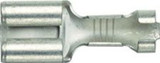 Hella Female Terminal 6.3X.8mm - Single