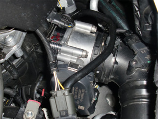 TURafe46-31009_5