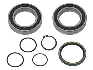 Track Shaft Bearing/seal Kit S-d