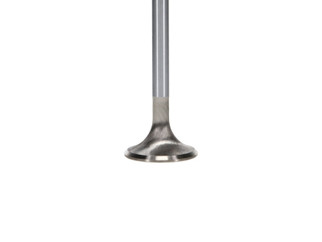 Manley Ford GT350 Voodoo 5.2L Race Master Series Intake Valve - 1.508in Dia