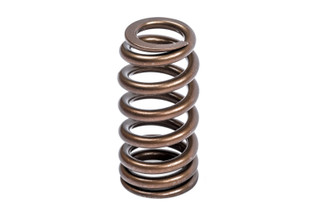 APR 12-16 Porsche Panamera Valve Spring - Single