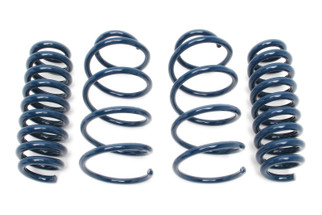 Dinan 11-13 BMW 335is Coil Spring Set