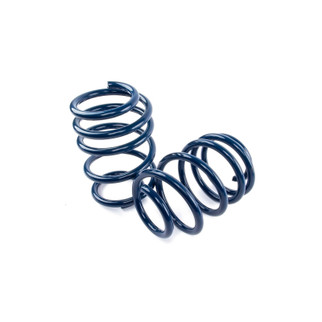 Dinan 20-25 BMW X4 M Coil Spring Set