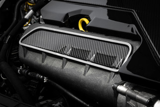 APR 17-20 Audi RS3 2.5T Carbon Fiber Intake Manifold Cover Plate