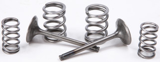 Exhaust Valve Conversion Set Ti-steel Kaw