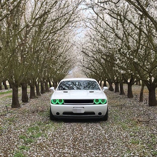 Oracle 08-14 Dodge Challenger LED Projector Headlight Halo Kit - Green