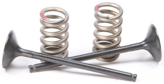 Exhaust Valve Conversion Set Ti-steel Yam